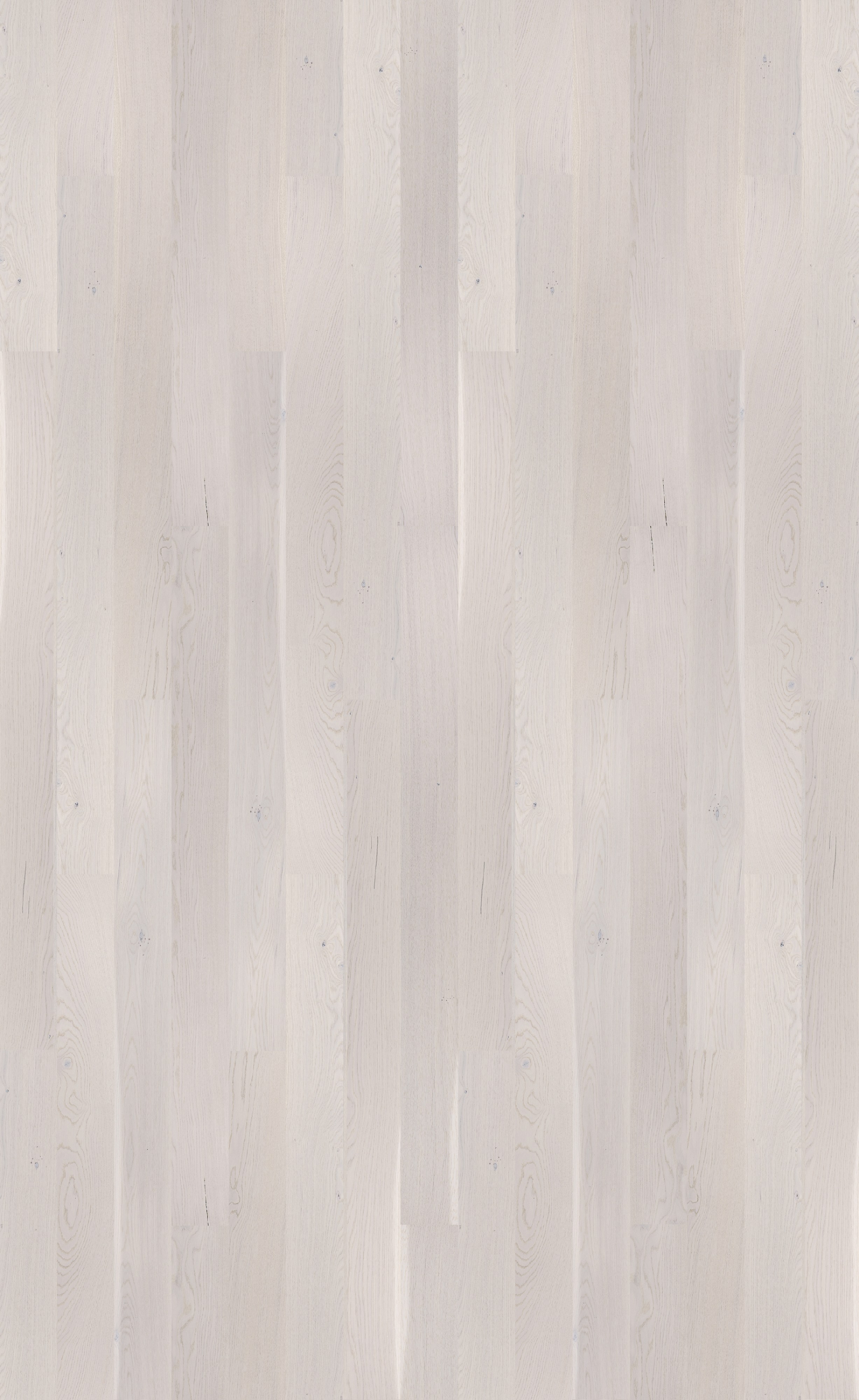 Паркетная доска Barlinek Pure дуб White Truffle Grande 2200×180×14